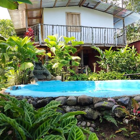 Cabaña Vista Río Celeste Rio Celeste Exterior foto