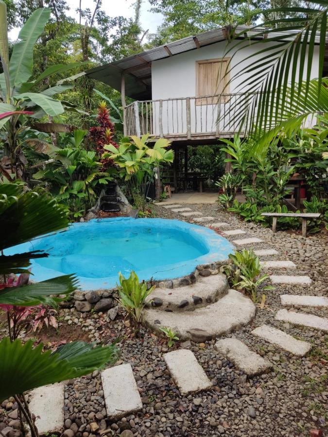 Cabaña Vista Río Celeste Rio Celeste Exterior foto