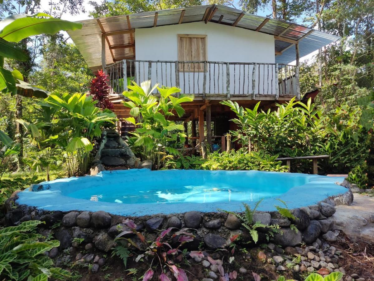 Cabaña Vista Río Celeste Rio Celeste Exterior foto