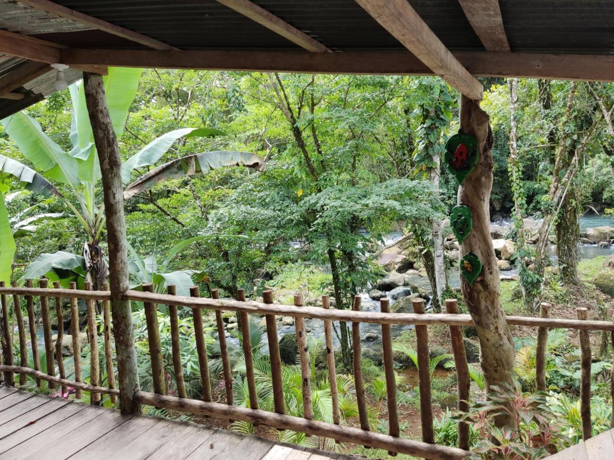 Cabaña Vista Río Celeste Rio Celeste Exterior foto