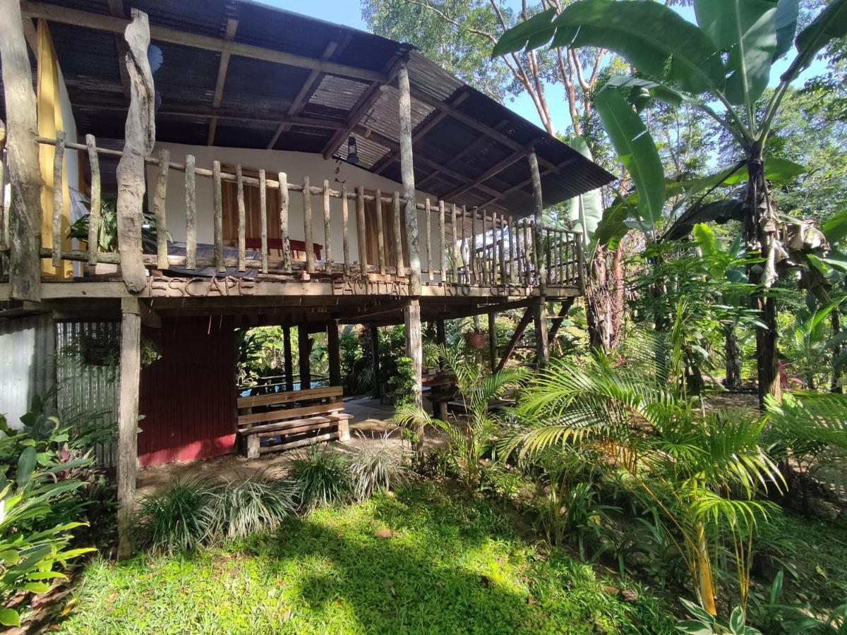 Cabaña Vista Río Celeste Rio Celeste Exterior foto