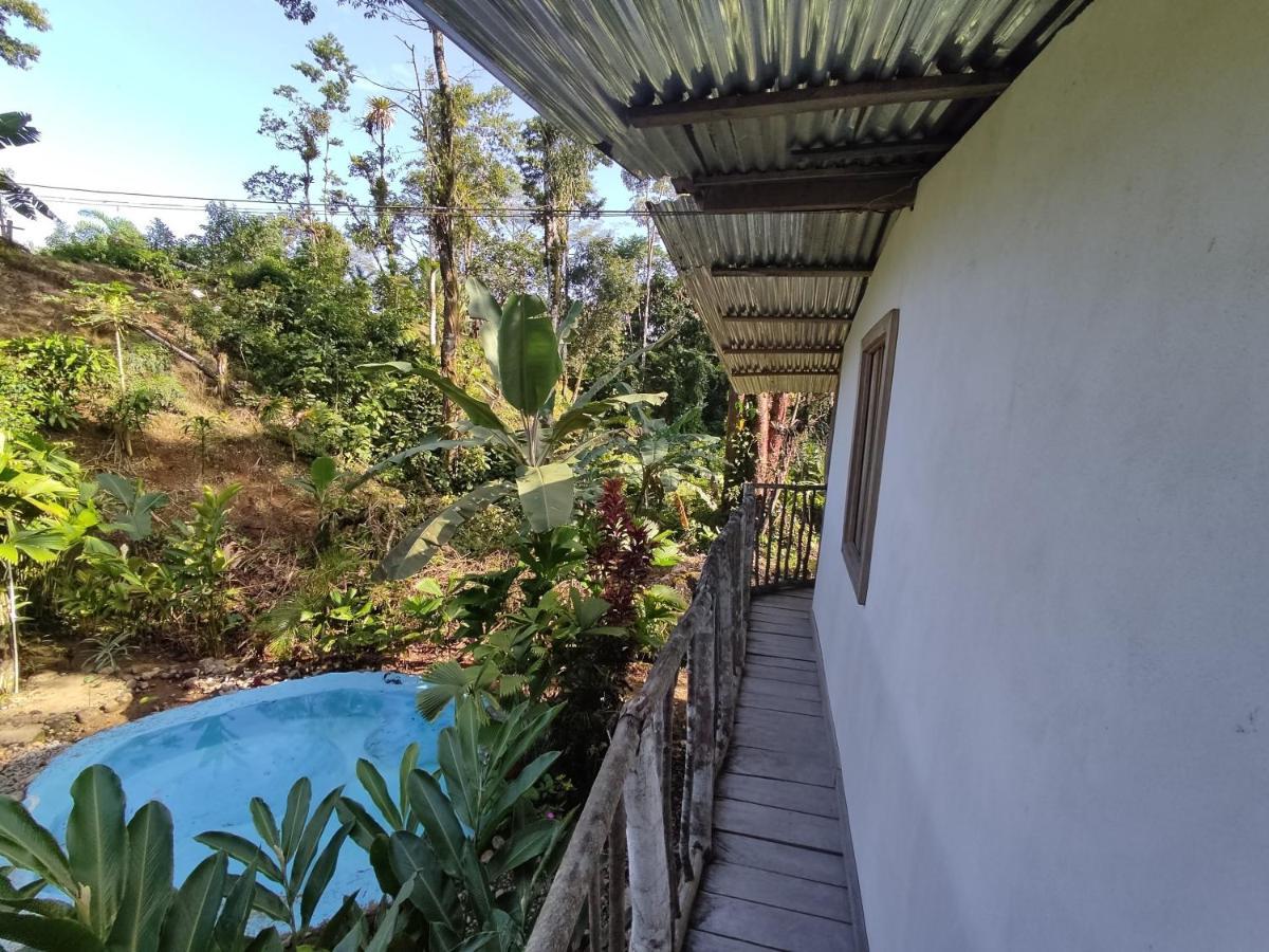 Cabaña Vista Río Celeste Rio Celeste Exterior foto