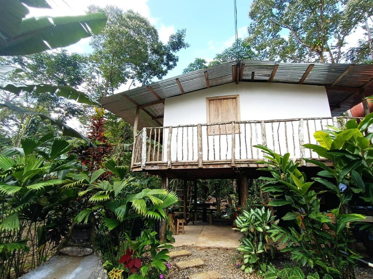 Cabaña Vista Río Celeste Rio Celeste Exterior foto