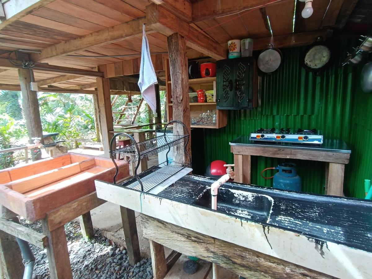 Cabaña Vista Río Celeste Rio Celeste Exterior foto