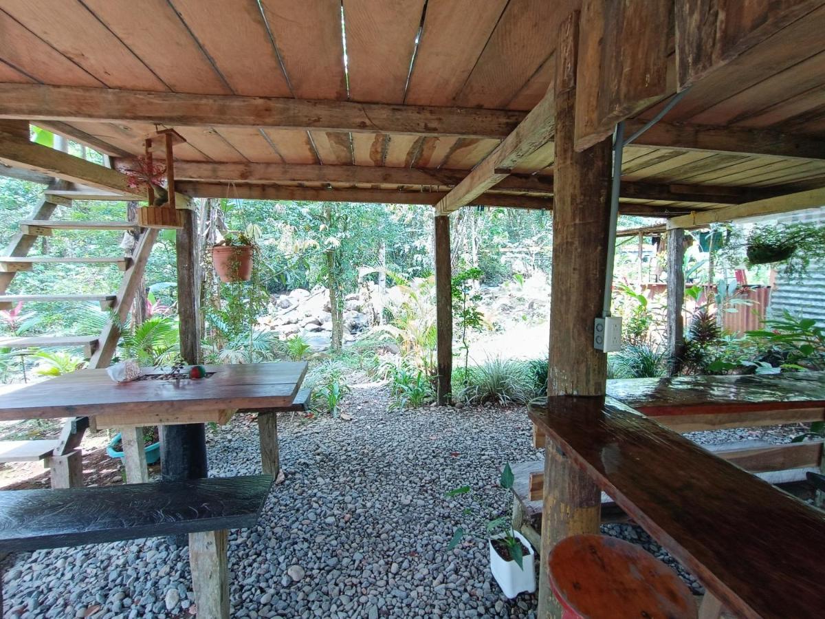 Cabaña Vista Río Celeste Rio Celeste Exterior foto