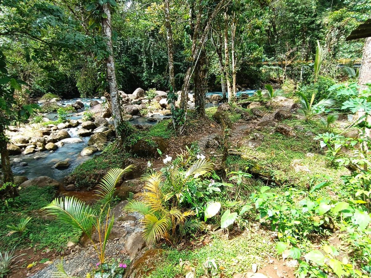 Cabaña Vista Río Celeste Rio Celeste Exterior foto