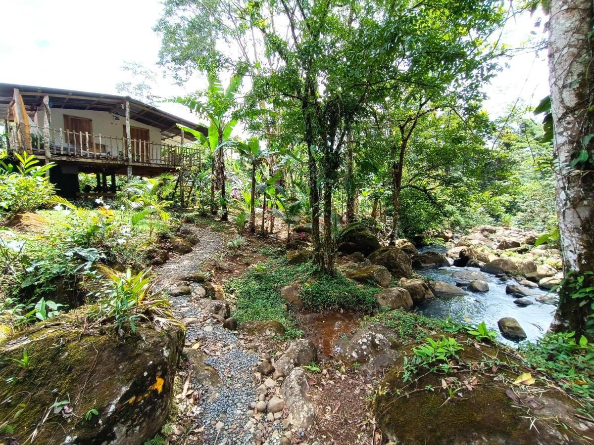 Cabaña Vista Río Celeste Rio Celeste Exterior foto