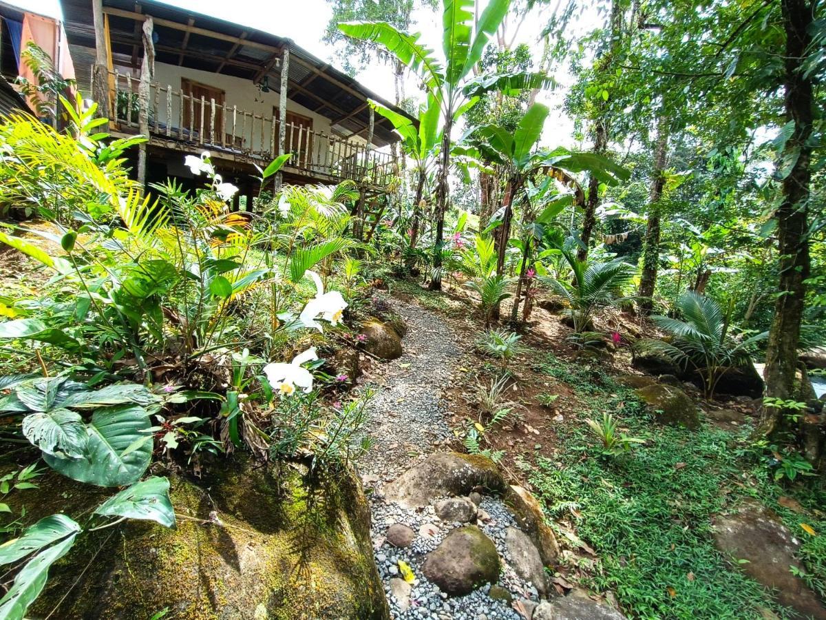Cabaña Vista Río Celeste Rio Celeste Exterior foto