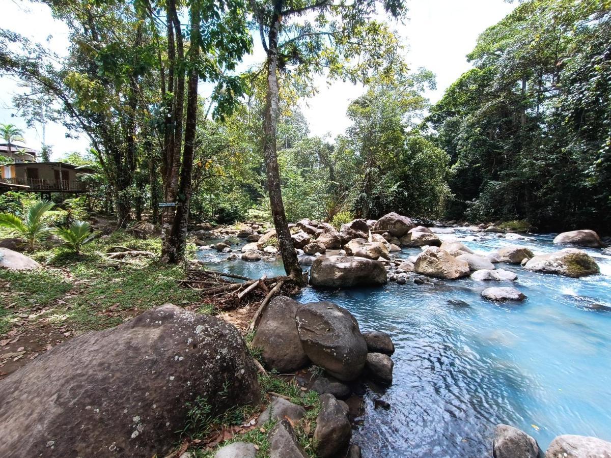 Cabaña Vista Río Celeste Rio Celeste Exterior foto