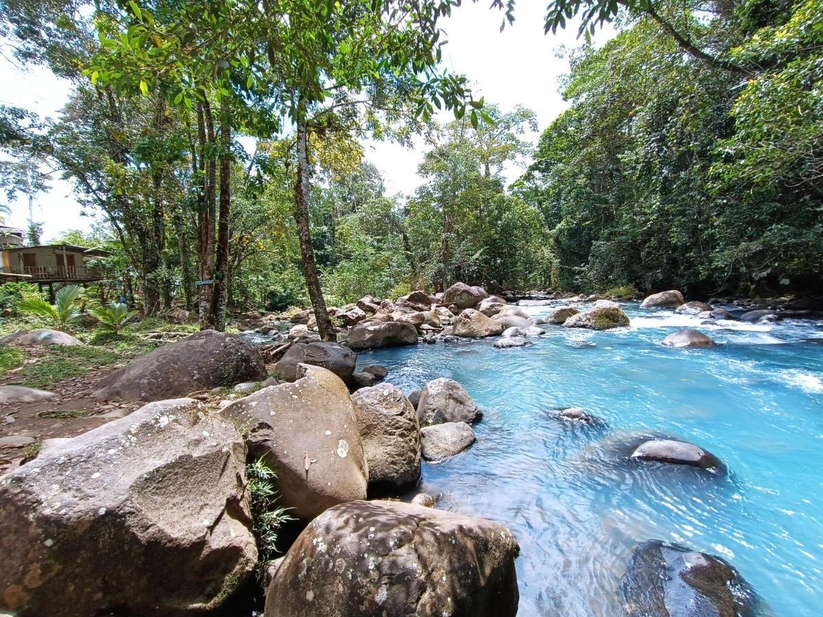 Cabaña Vista Río Celeste Rio Celeste Exterior foto