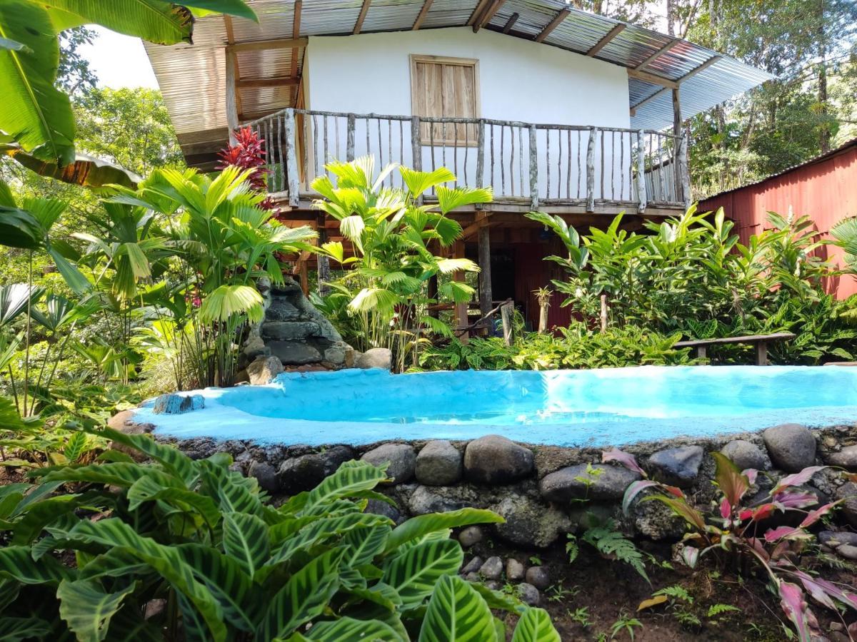 Cabaña Vista Río Celeste Rio Celeste Exterior foto