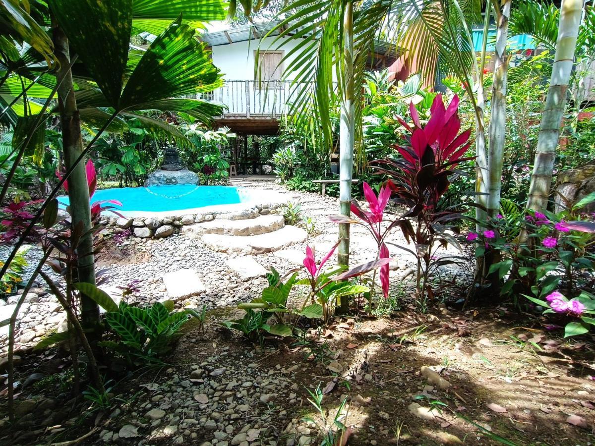 Cabaña Vista Río Celeste Rio Celeste Exterior foto