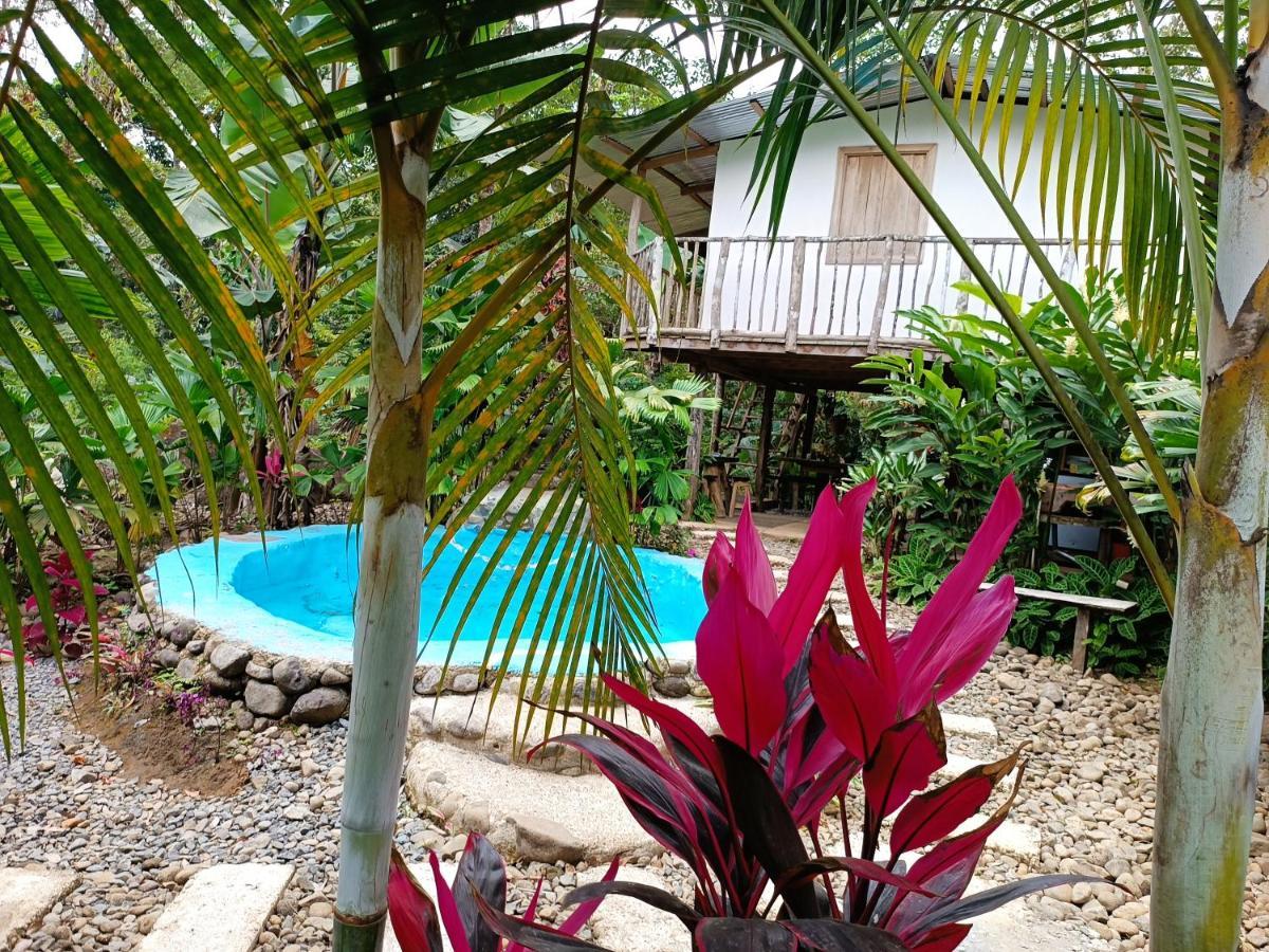 Cabaña Vista Río Celeste Rio Celeste Exterior foto