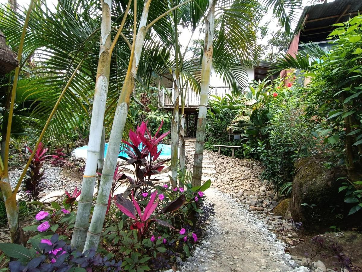 Cabaña Vista Río Celeste Rio Celeste Exterior foto