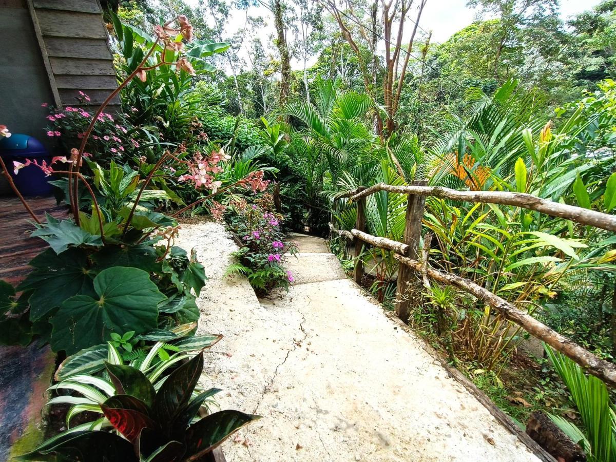 Cabaña Vista Río Celeste Rio Celeste Exterior foto