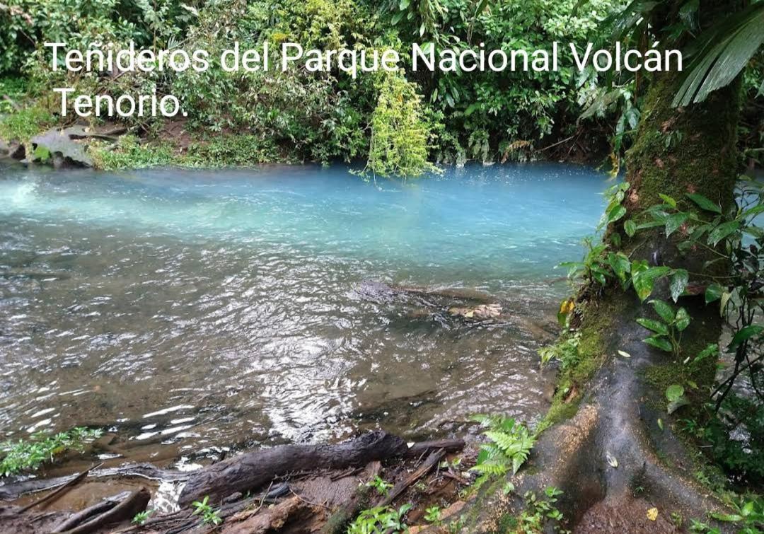 Cabaña Vista Río Celeste Rio Celeste Exterior foto